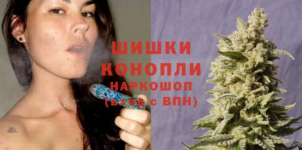 сатива Наволоки