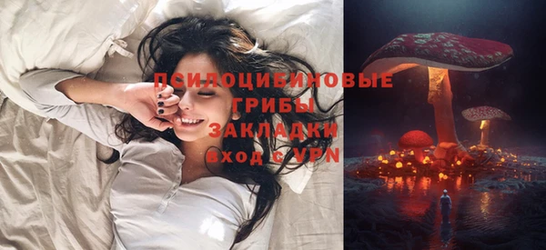 сатива Наволоки