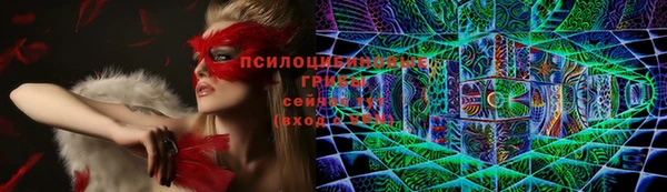 гидропоника Нея