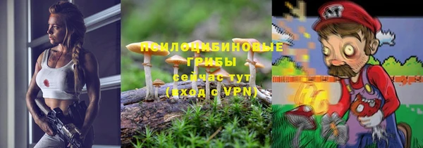 дурь Надым