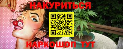 бошки Гатчина