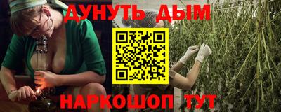 бошки Гатчина