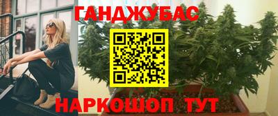 бошки Гатчина