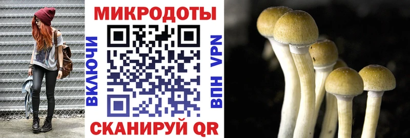 Галлюциногенные грибы Cubensis  MEGA онион  Ангарск  где купить  