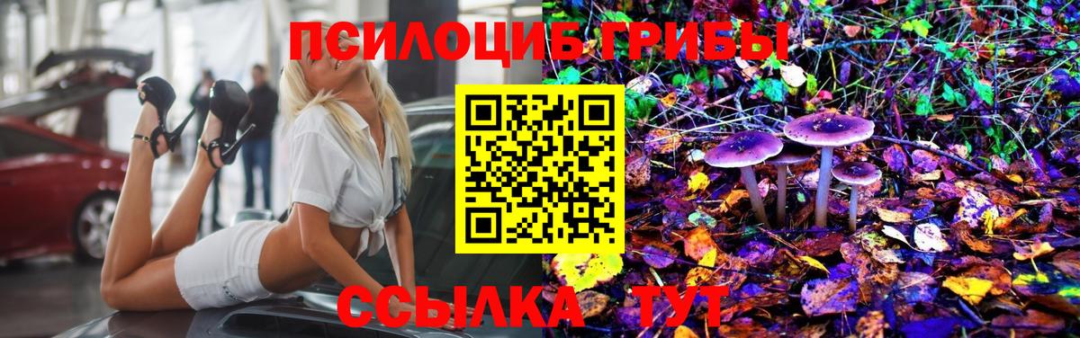 Галлюциногенные грибы Psilocybine cubensis  Ангарск 