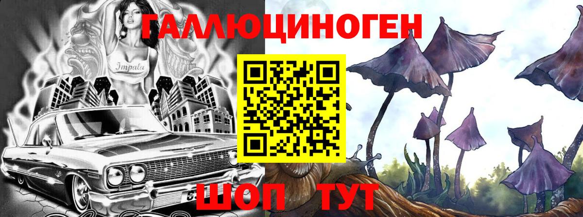 Псилоцибиновые грибы GOLDEN TEACHER Ангарск