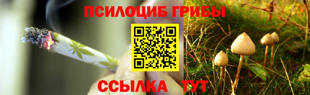 Галлюциногенные грибы прущие грибы Ангарск